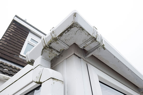 Dirty fascias before cleaning