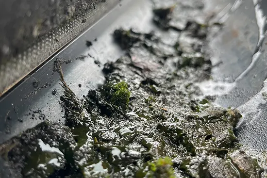 Blocked gutter before cleaning